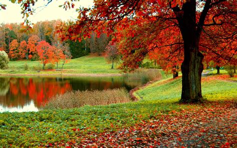 autumn background wallpaper free